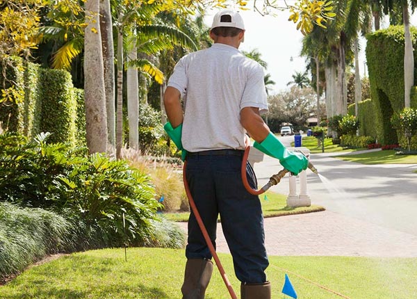 About Neillsville WI Pest Control